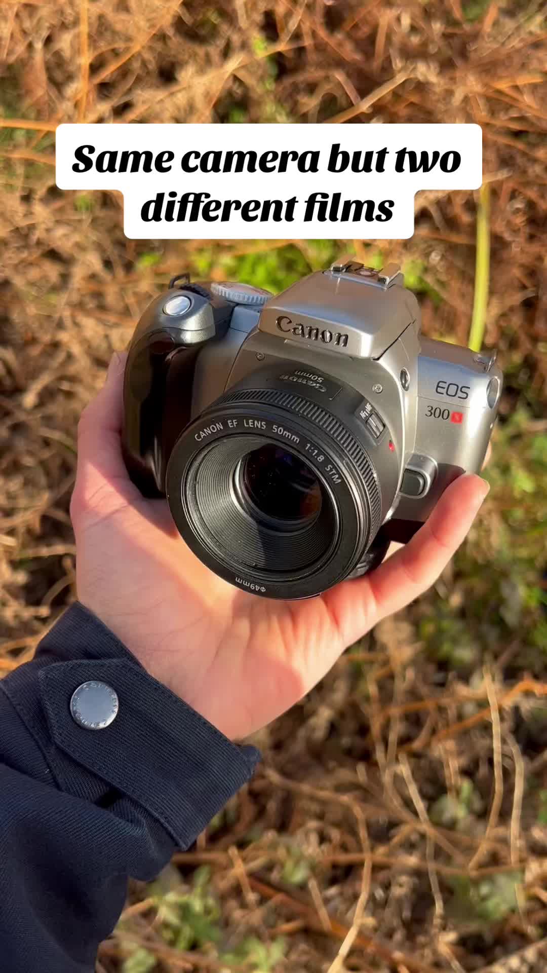 @Analogue_Revival
