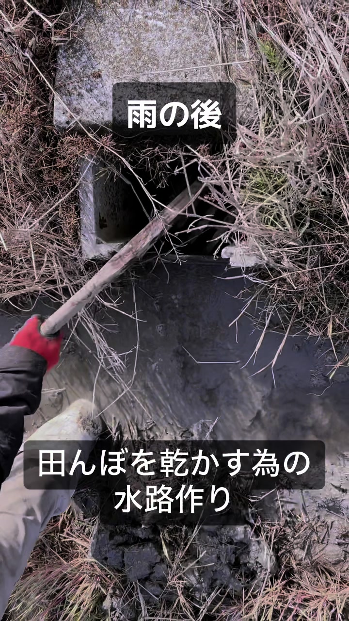 @channelMIKURIN