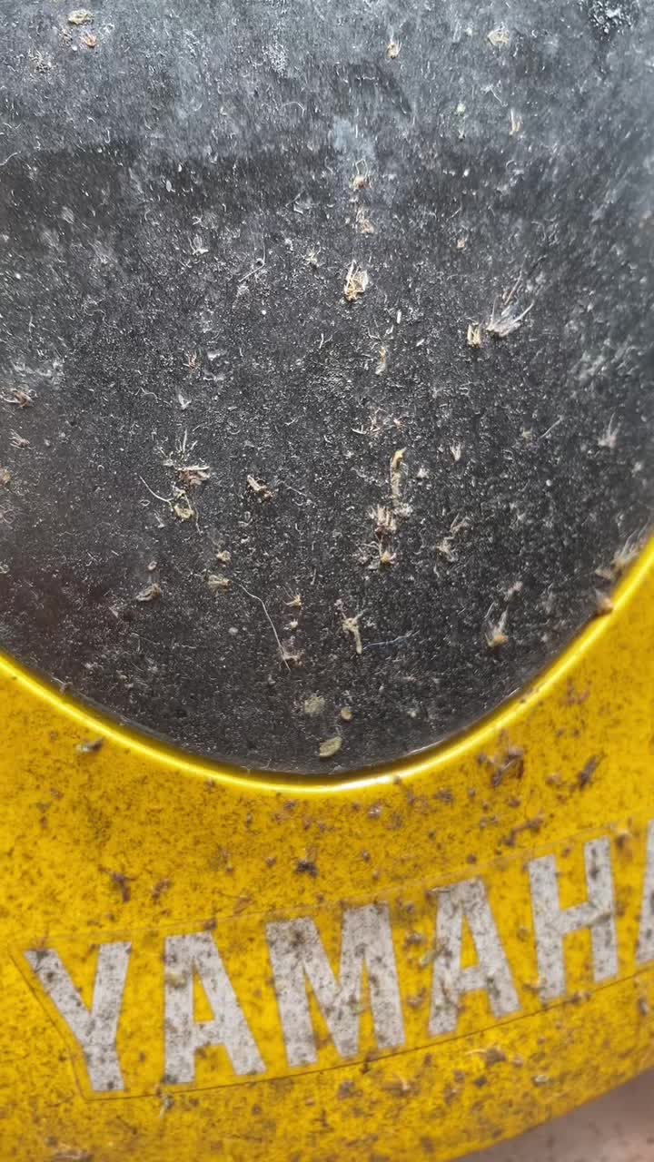 @ky76