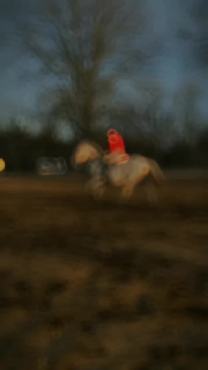 @TheHorseGallery