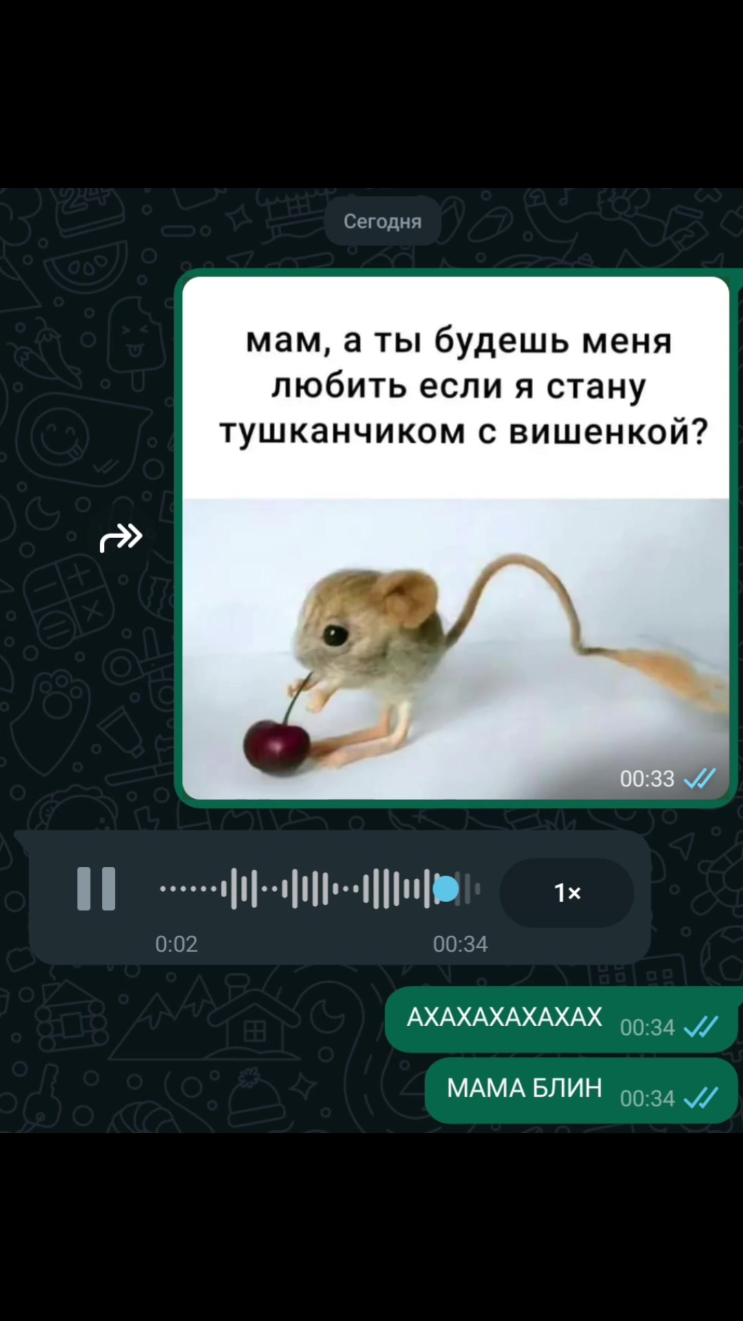 @никусик 🫡