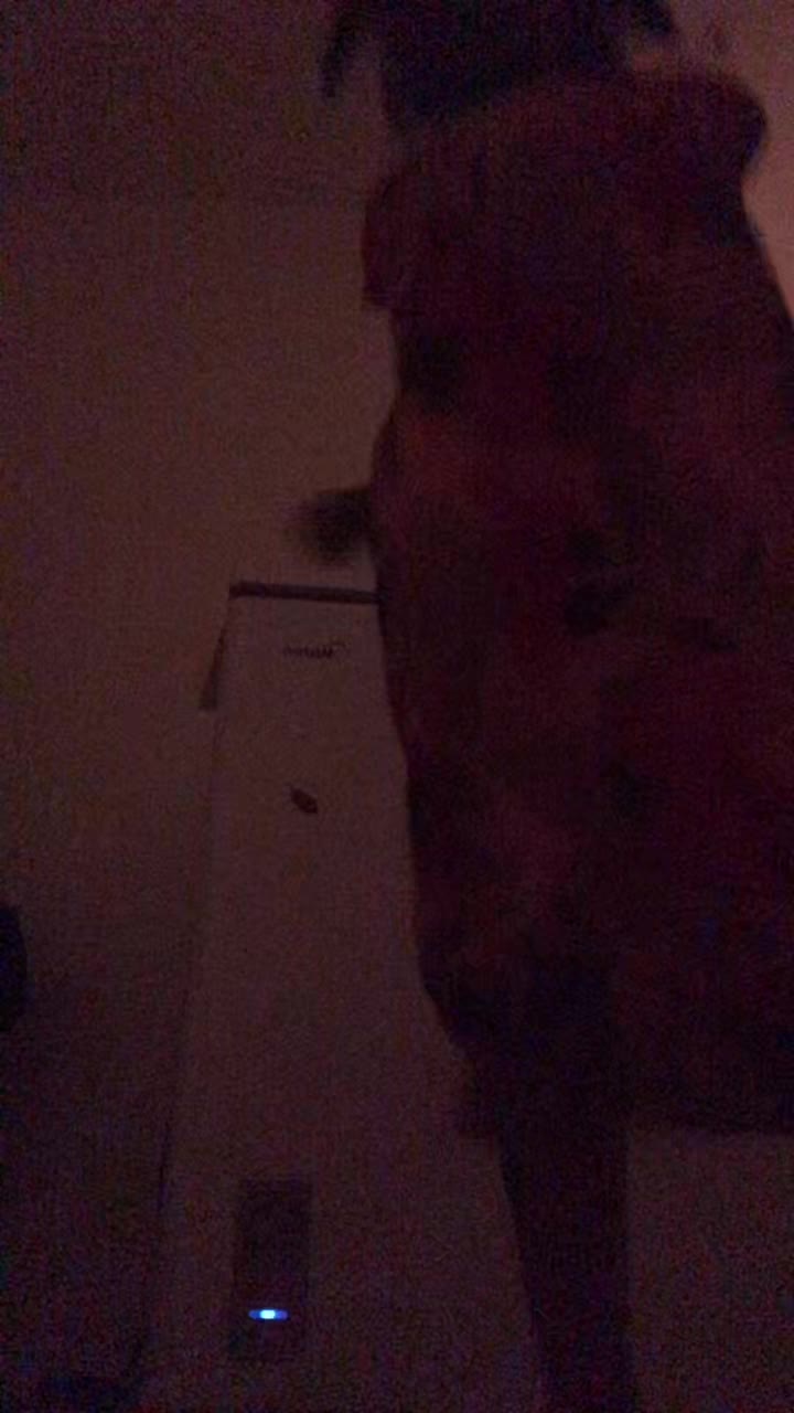 @nursfarah