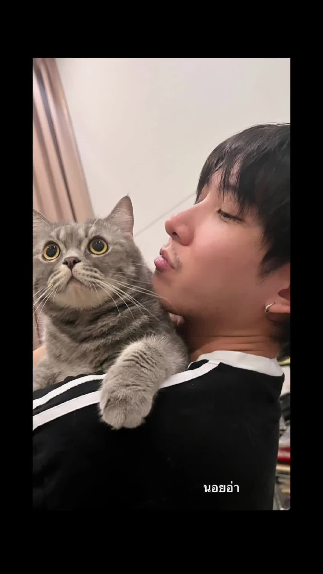 @.🧡🐈⬛🐈