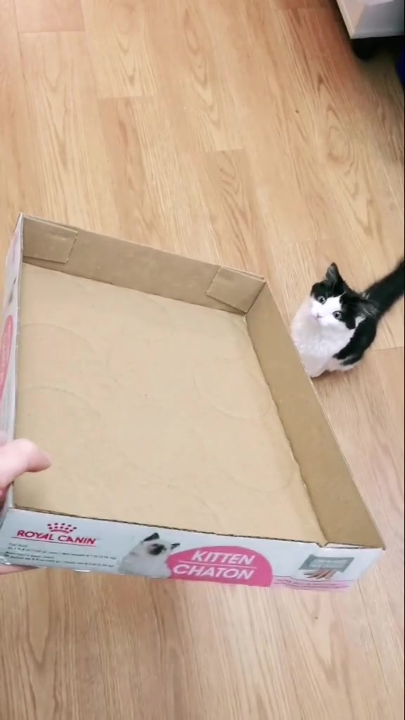 @If I fits I sits