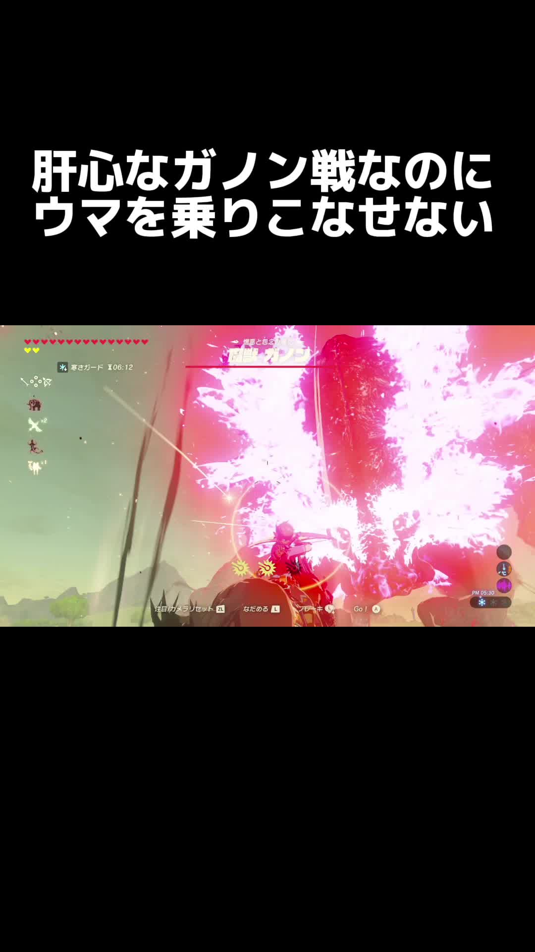 @ちっちゃいライオンとでっかいネコ