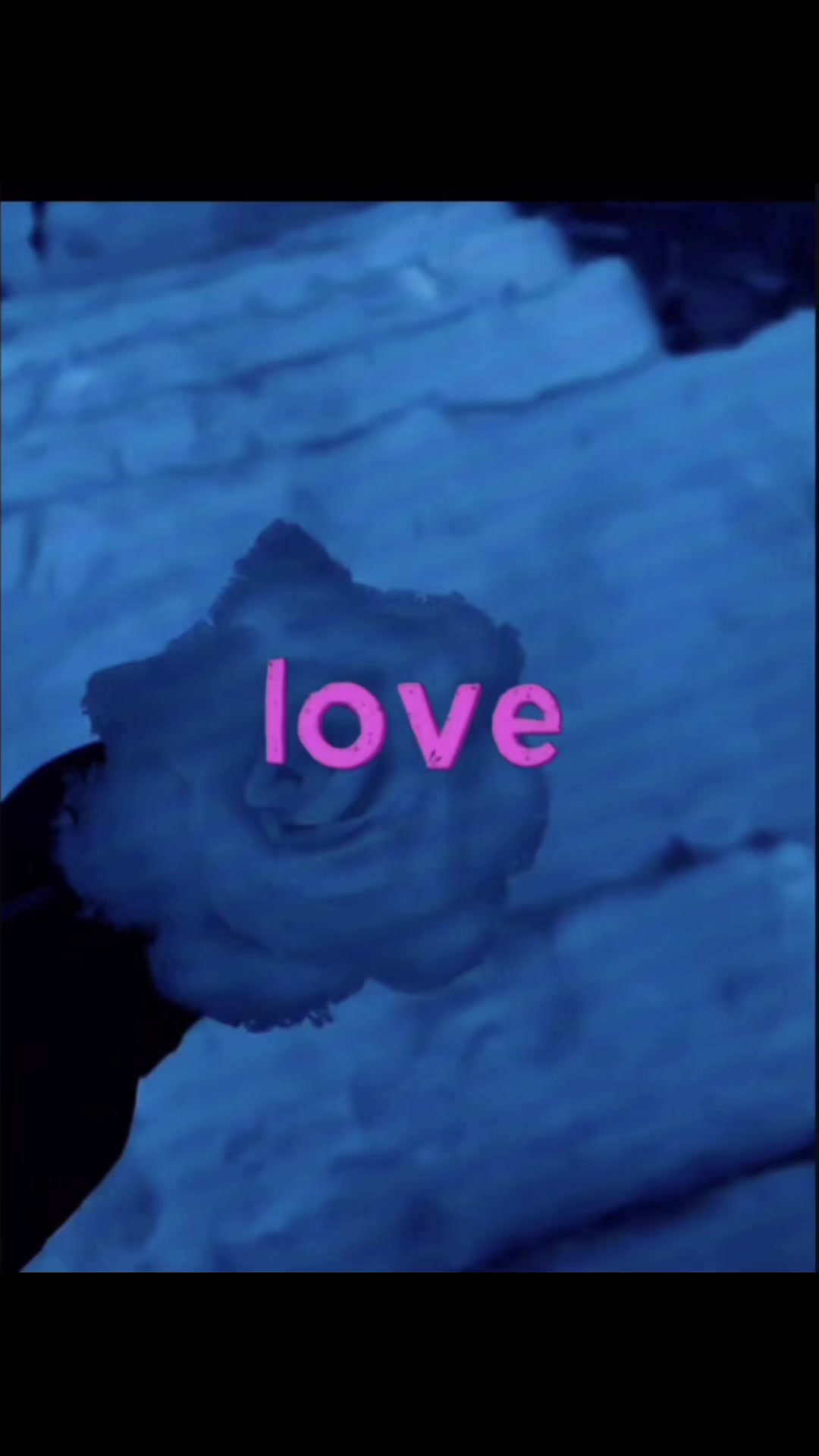 @𝓢𝓪𝓻𝓪𝓱
