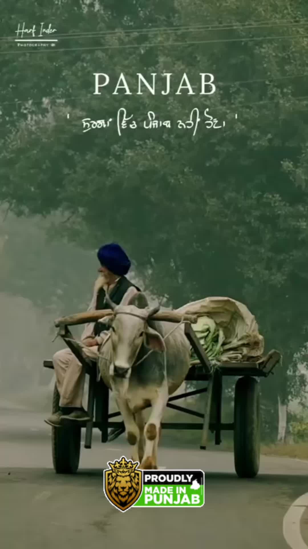 @Inder.lubana