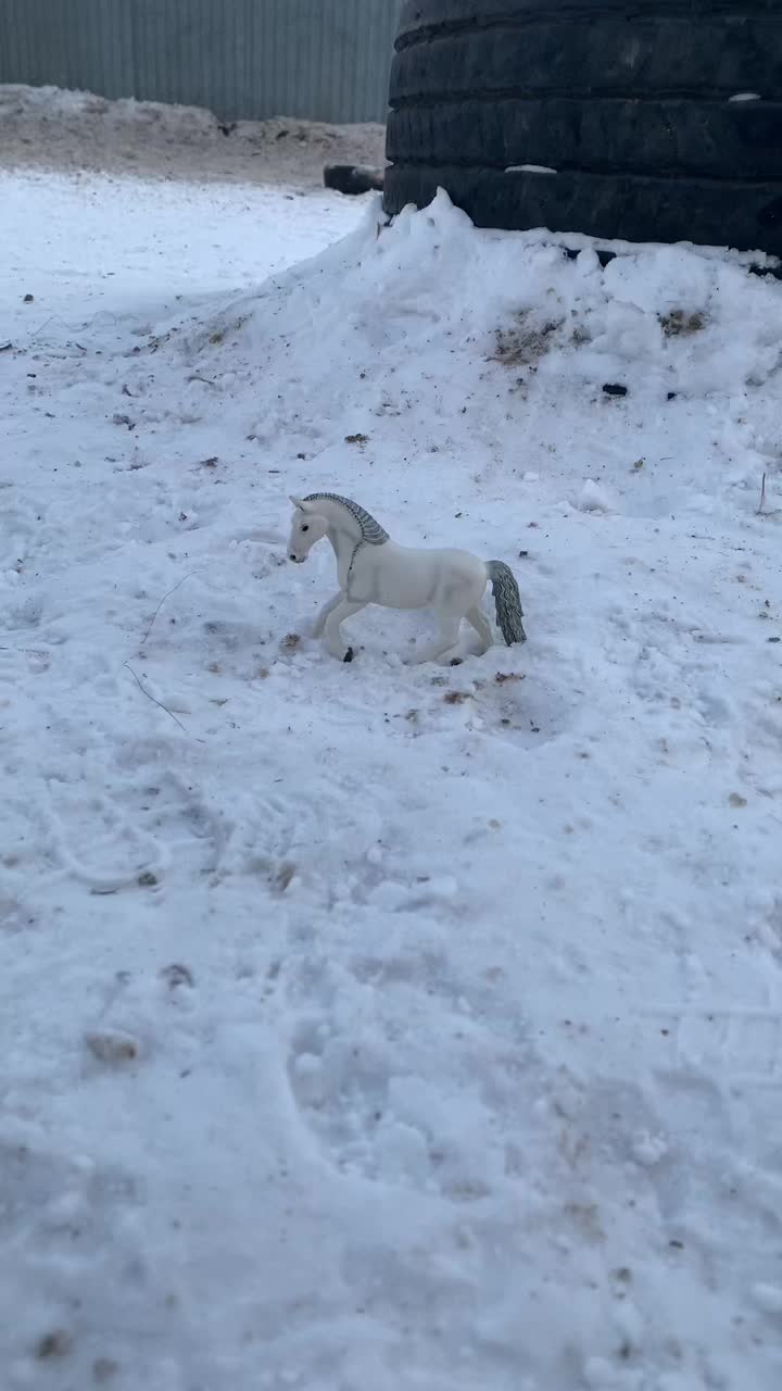 @А_нют_А🤪