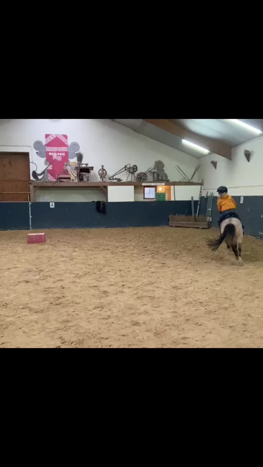 @allroundxgroep🩷🐴