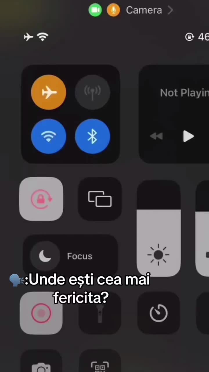 @🐼