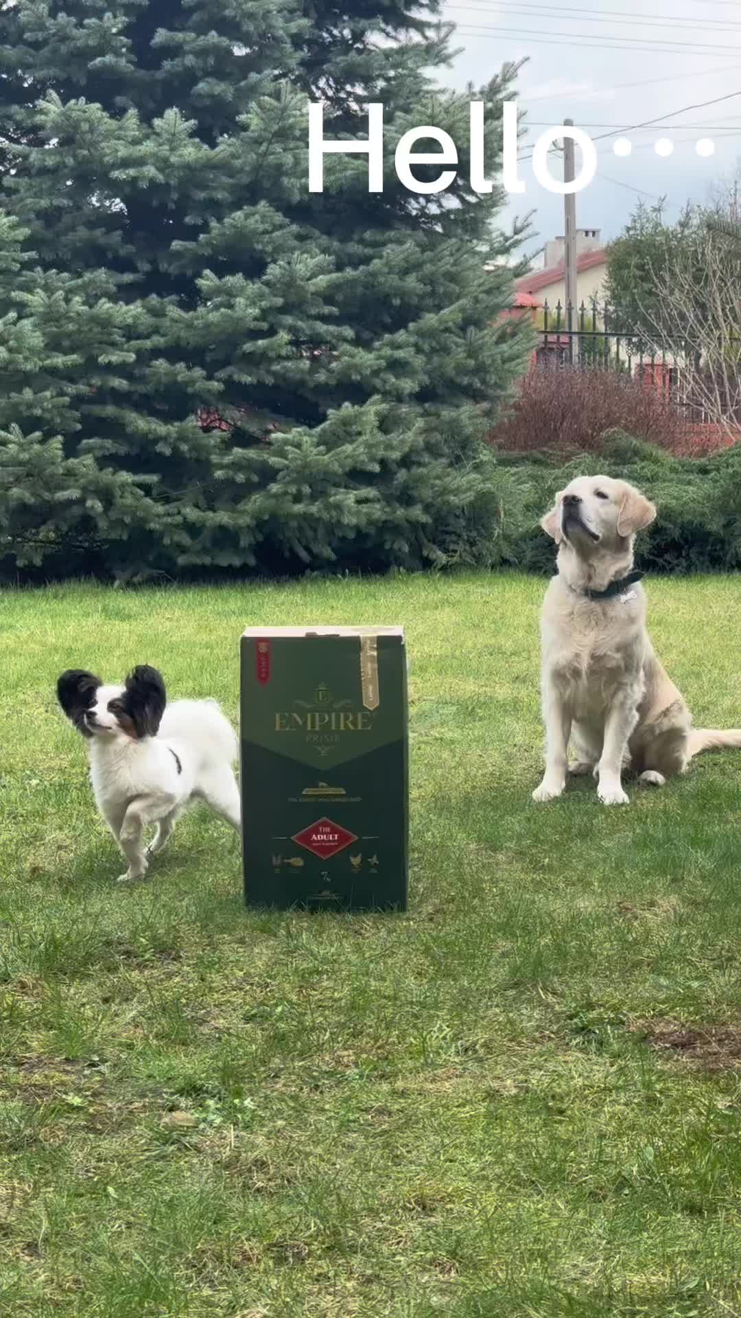 @Martyś 🥳