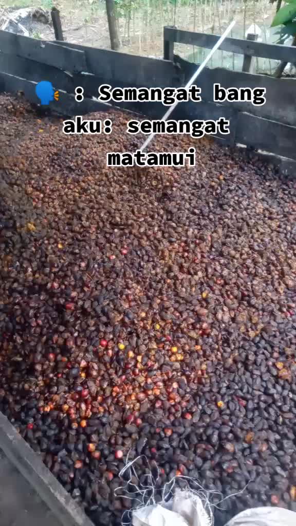 @Gembala_muda💎