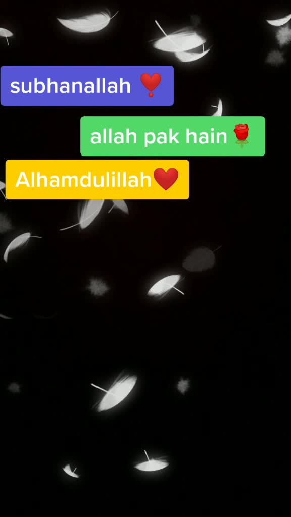 @♥️ tiktok_lover♥️
