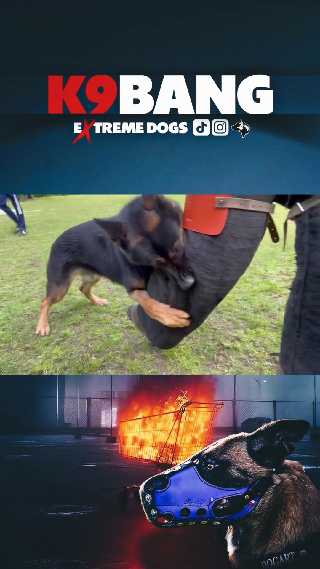 @K9 BANG