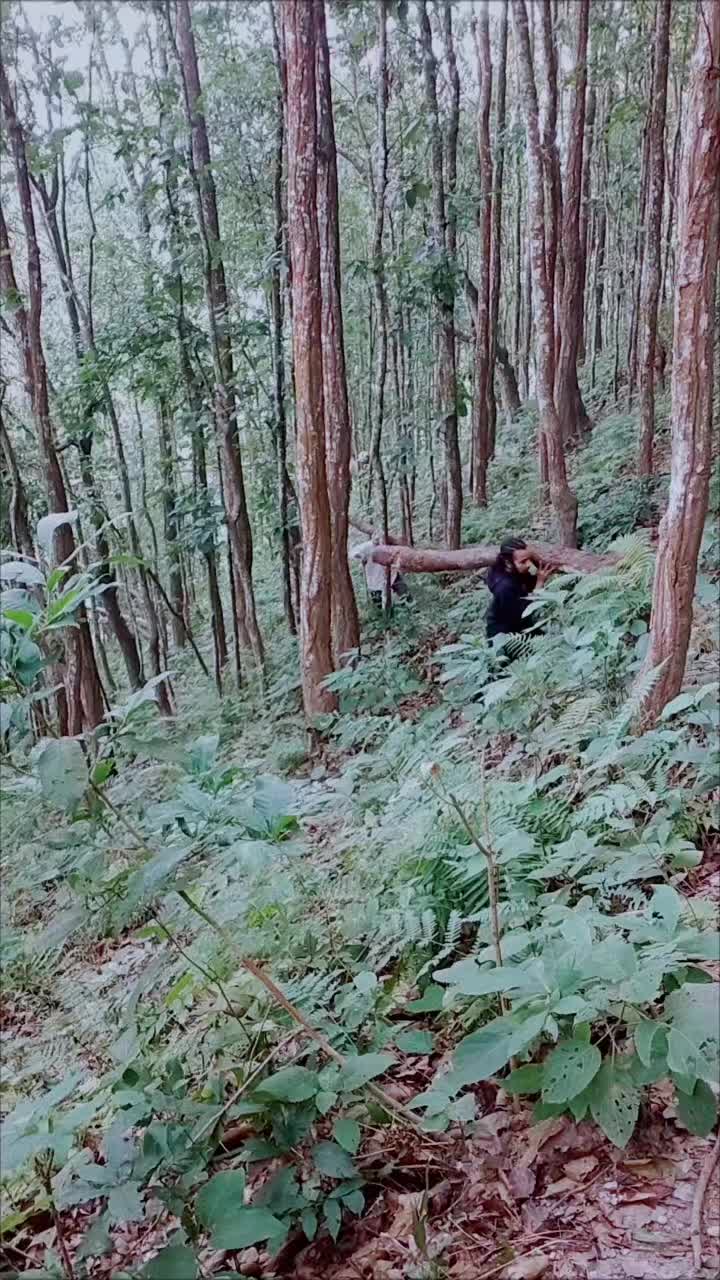 @Deshant Adhikari