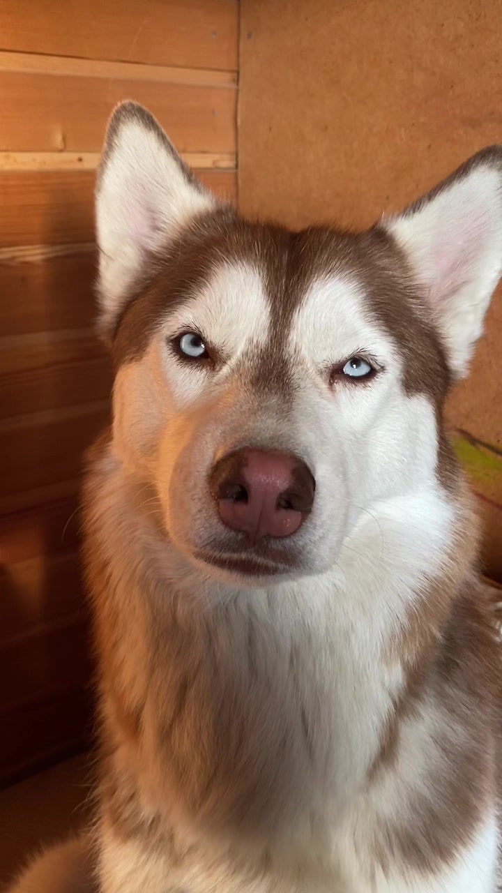 @Маша Алексеева