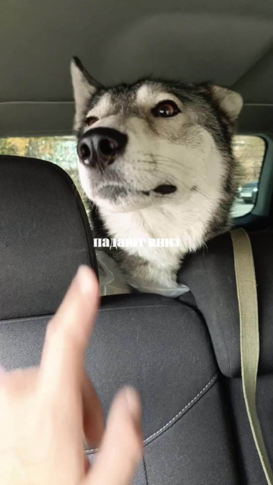 @kris