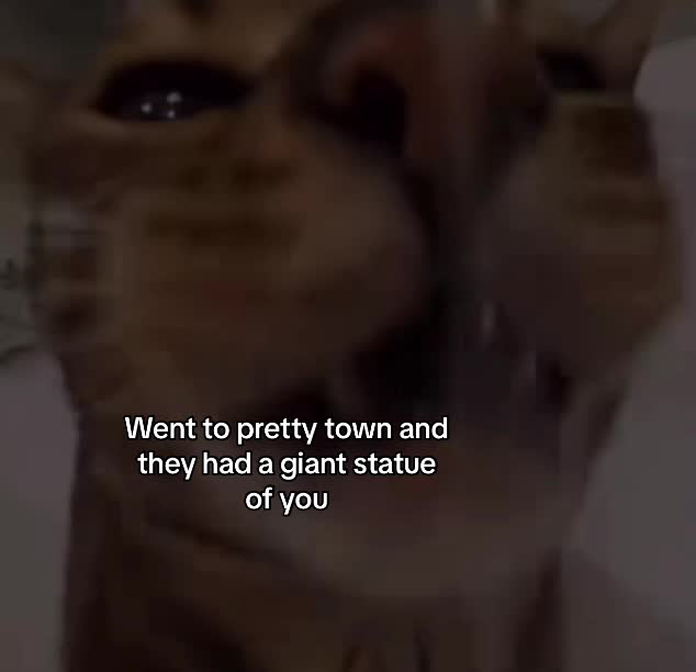 @NotMe