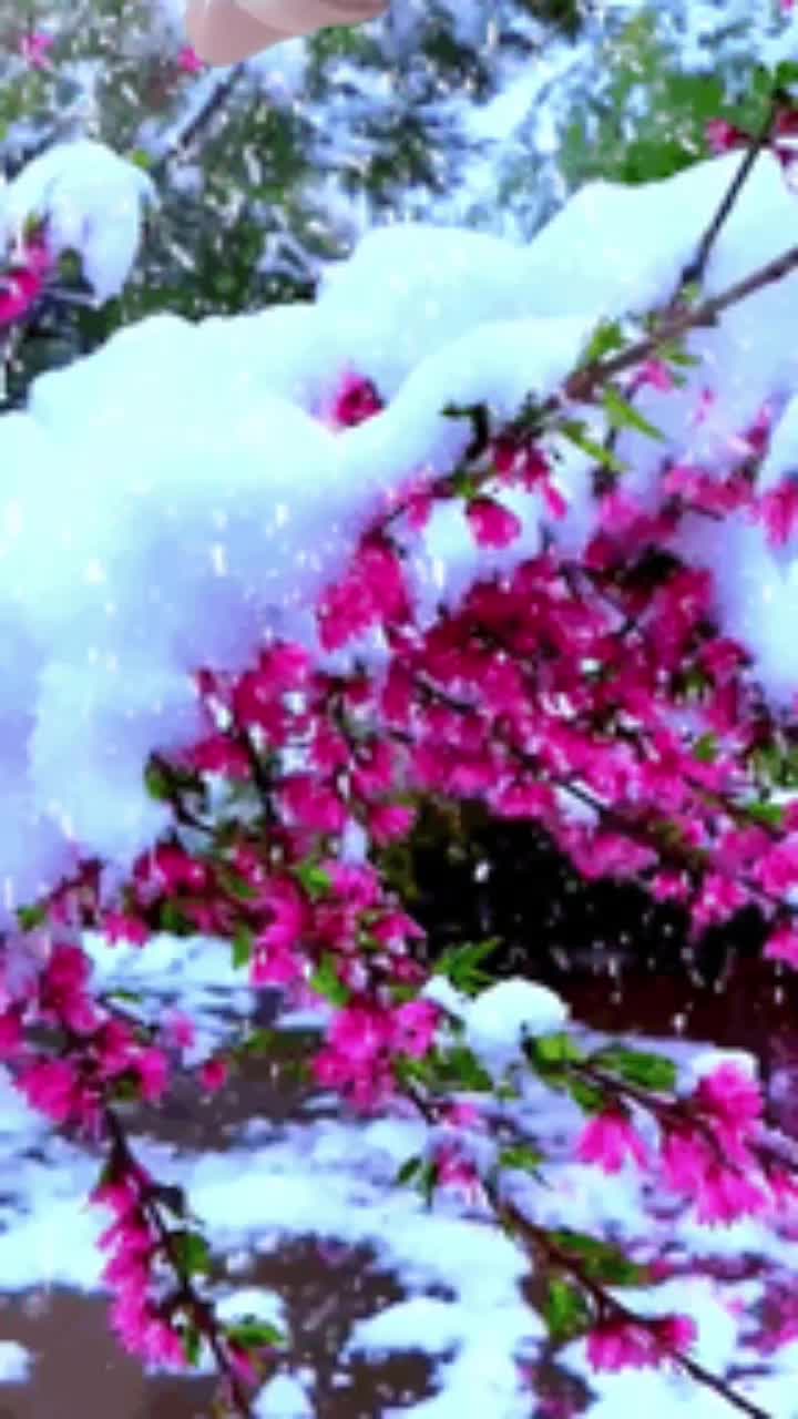 @Usha Usha