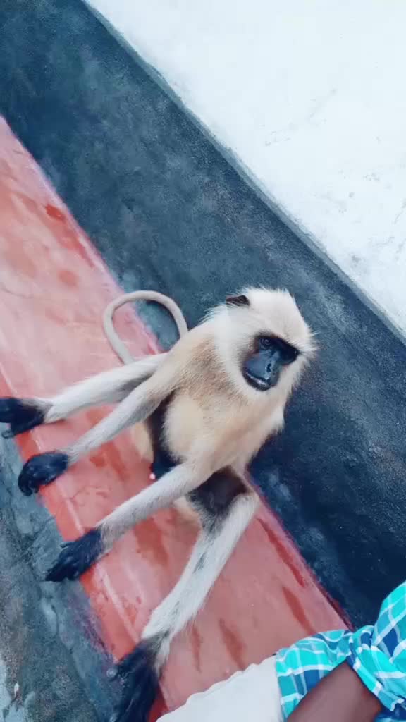 @Nareshyadav