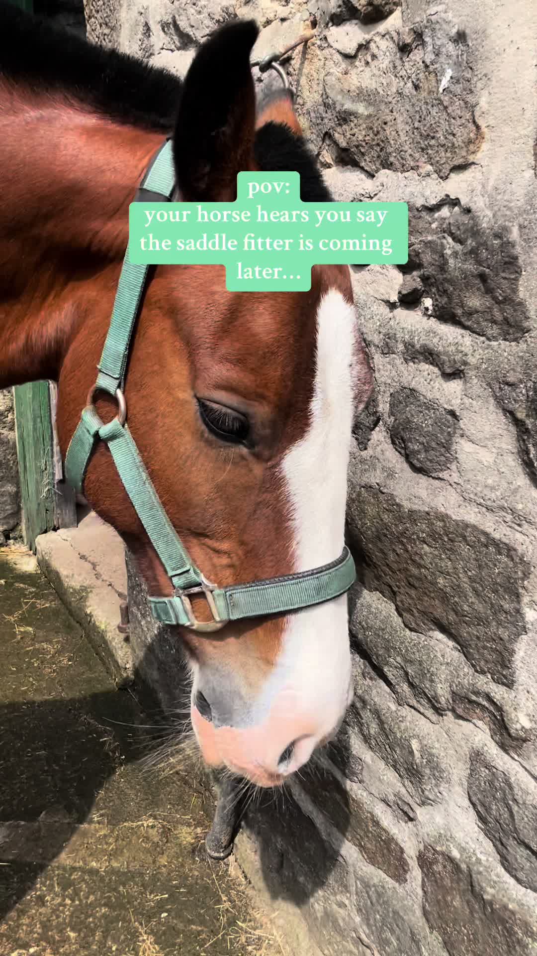 @Yardd | Equine Life Simplified
