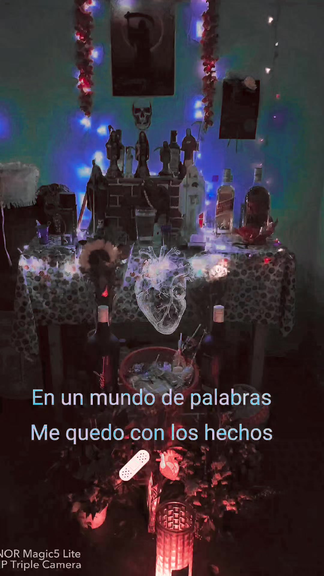 @☠𝖁𝕰𝕮𝕶𝕬☠️