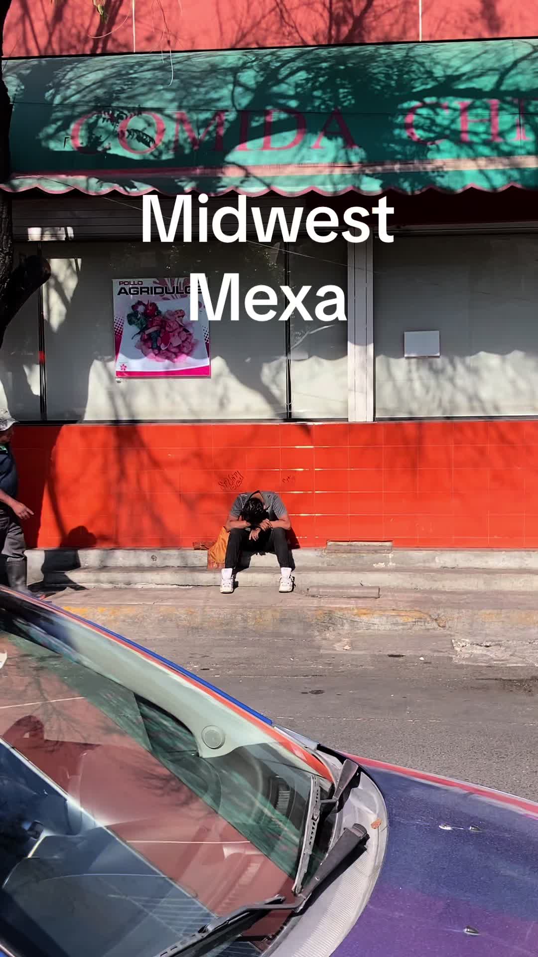 @cacomixtle
