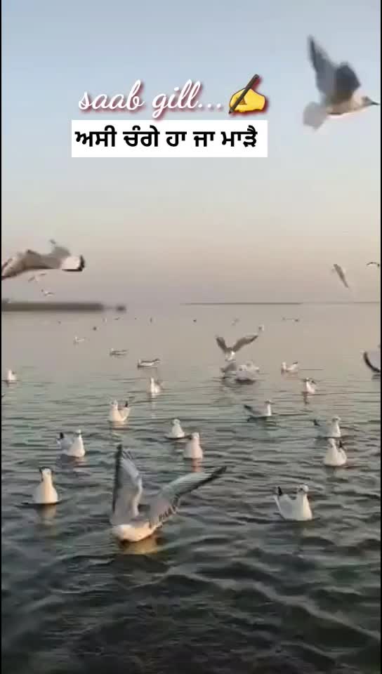 @user171169573695