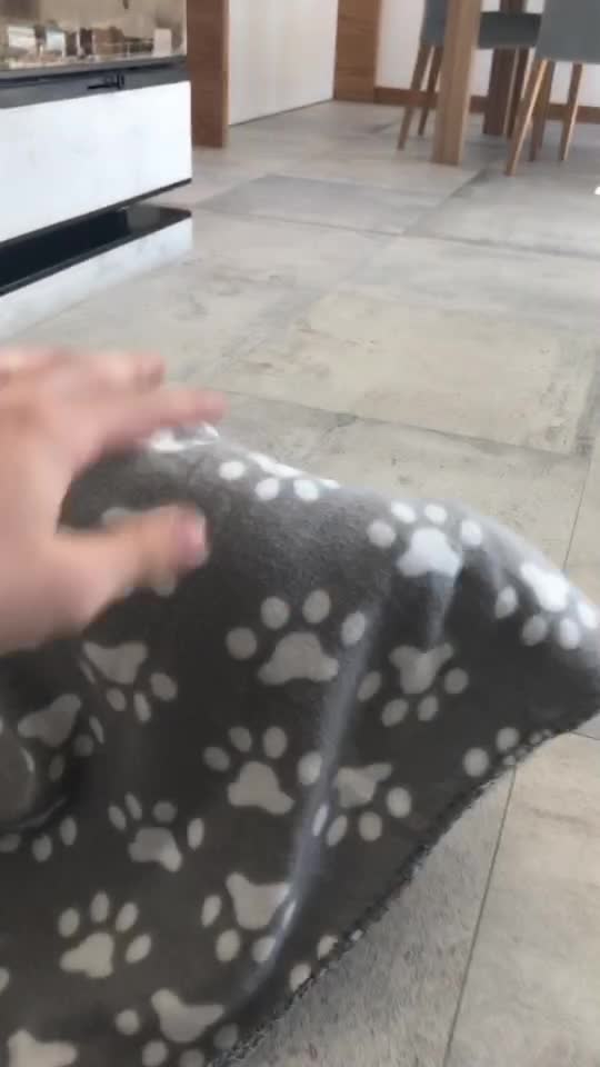 @MoccaChocoalateLab