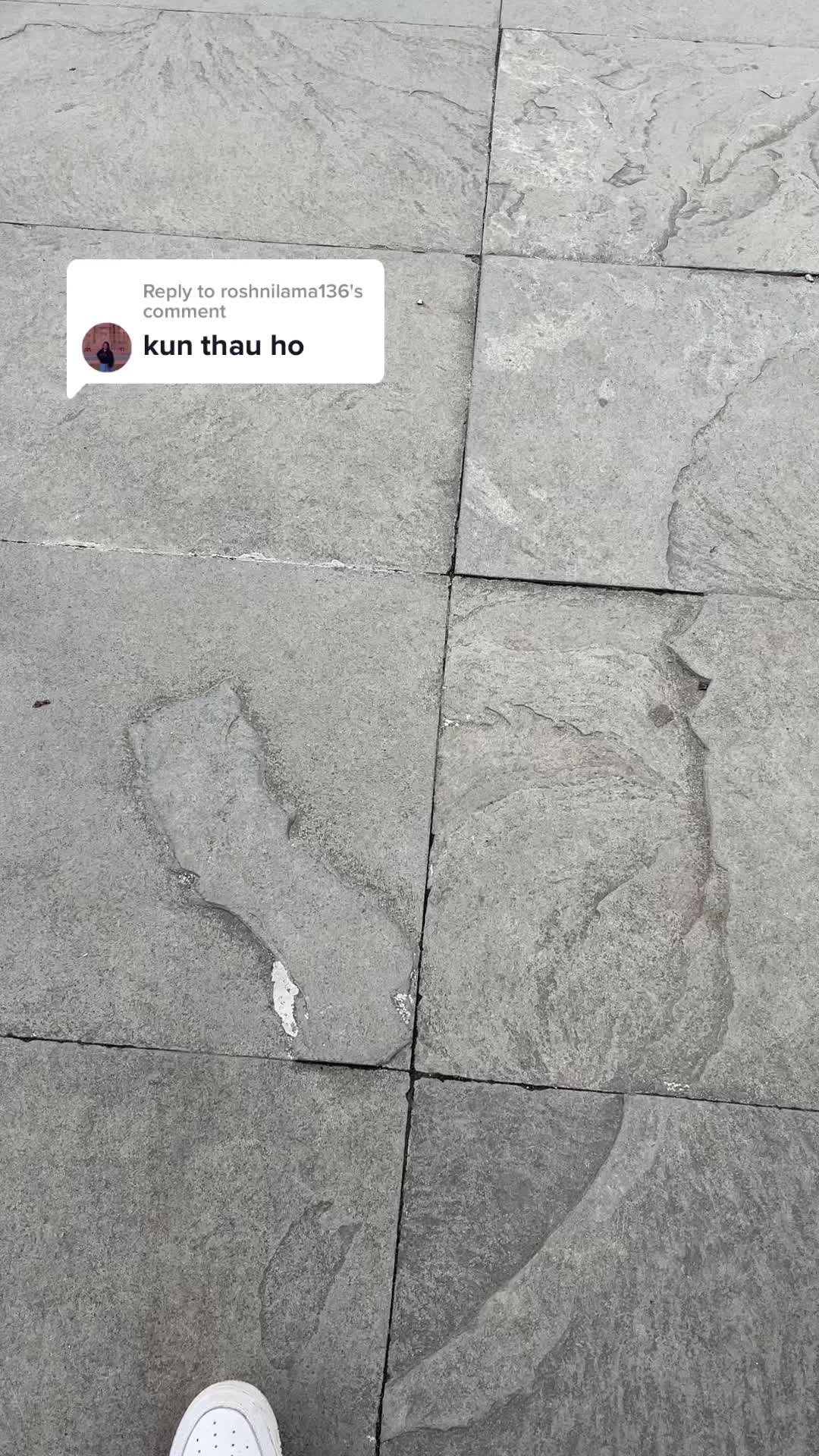 @Rohit Karki