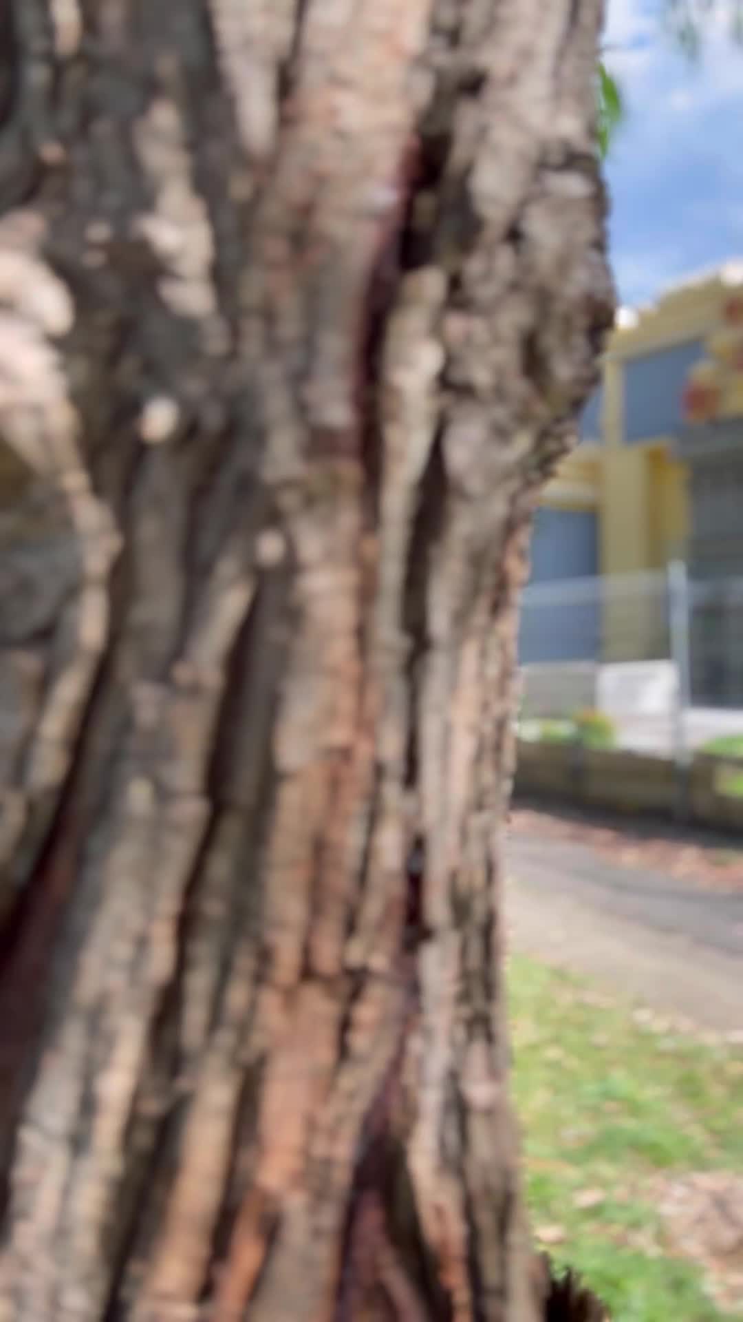 @Mithra Reddy