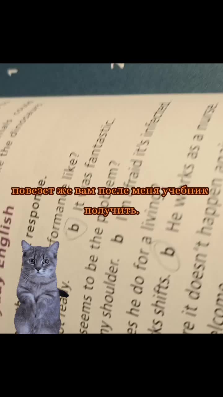 @&mdash; соё [🐾🎻] !!
