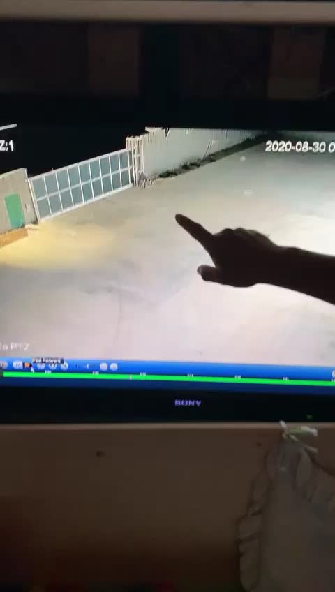 @Daniele D'Ettore