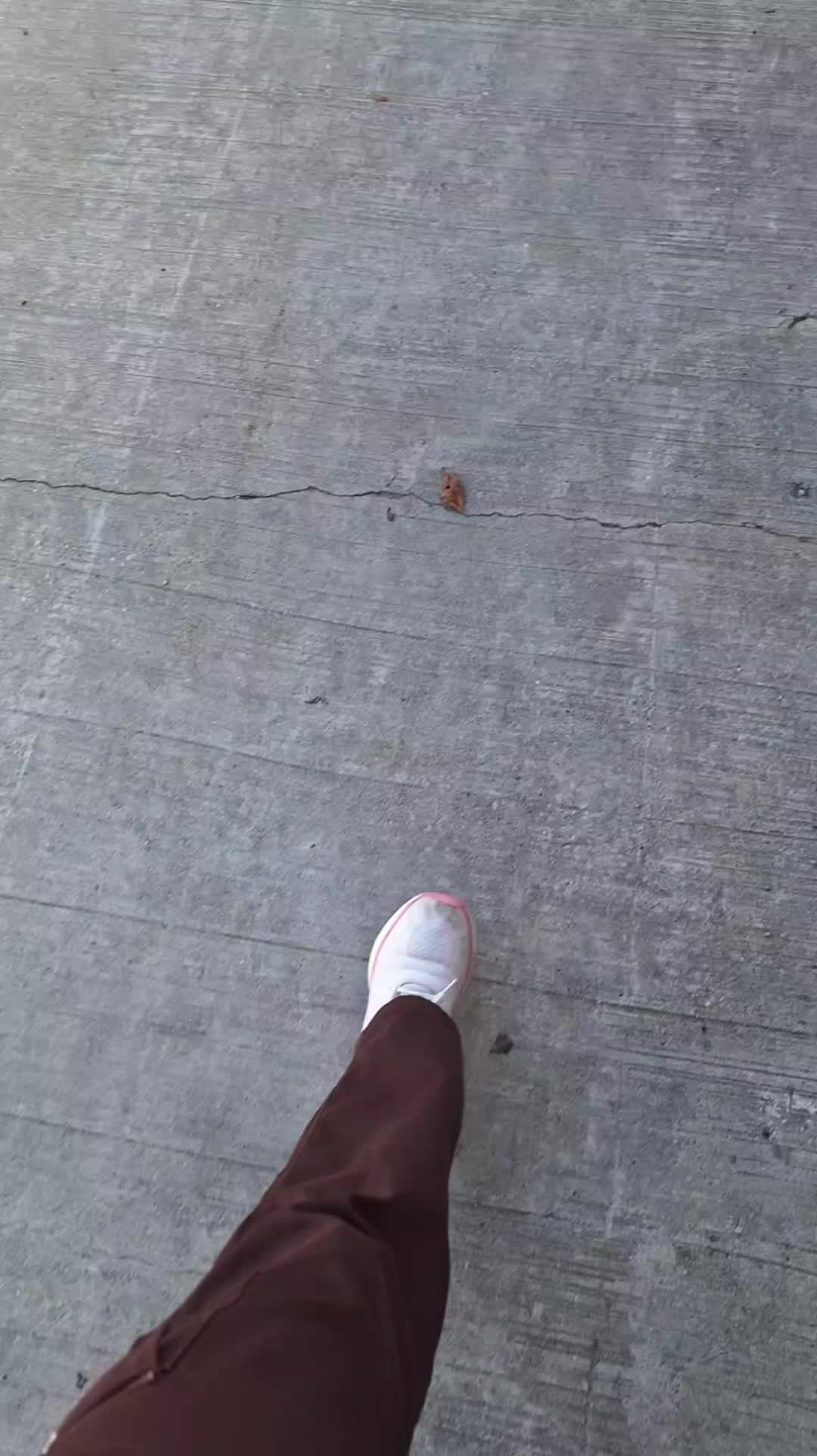 @🇨🇦