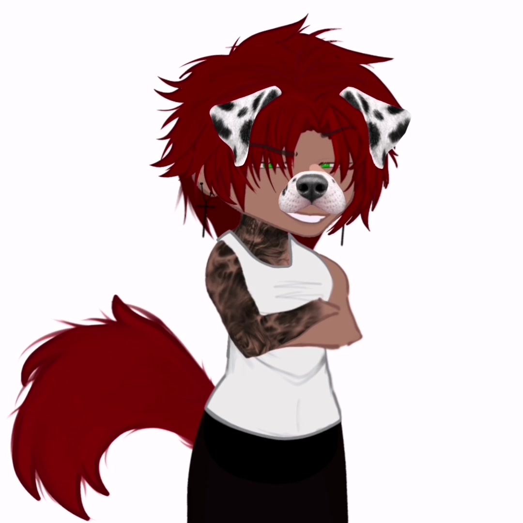 @😽Aston the kitty cat cat😺