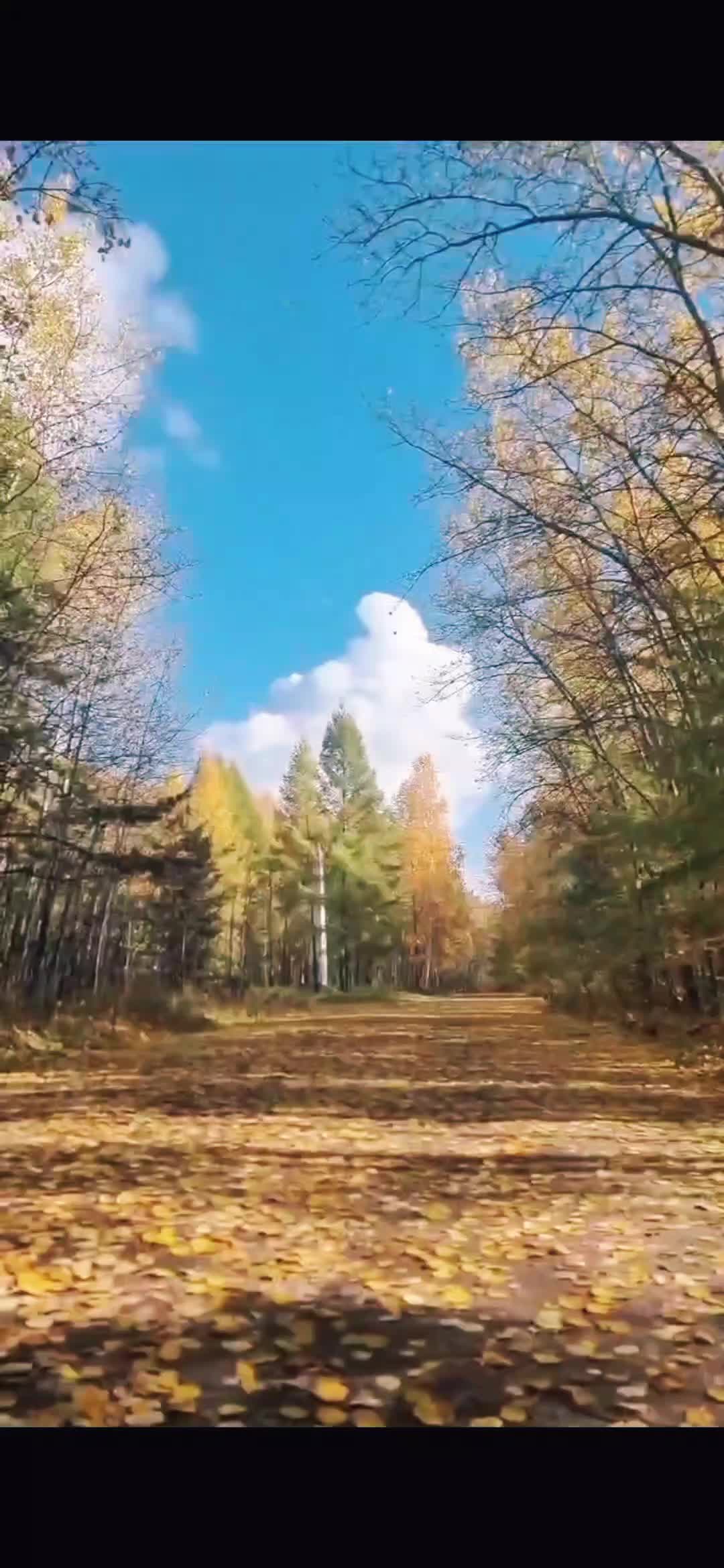 @oksana1603l