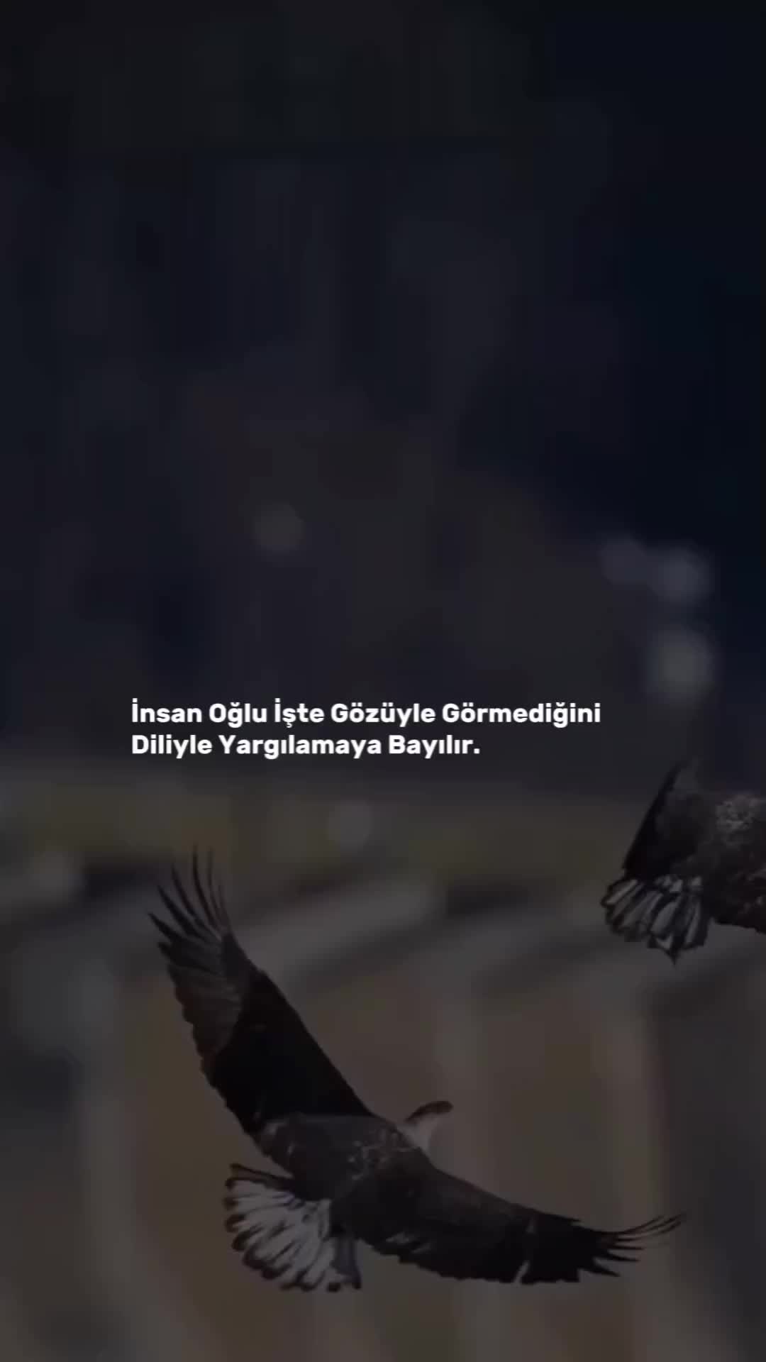 @QaQa_721