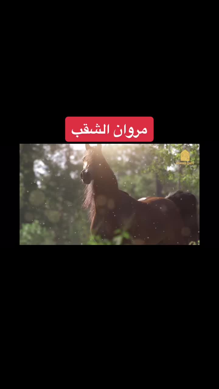 @عبد ابو خضير