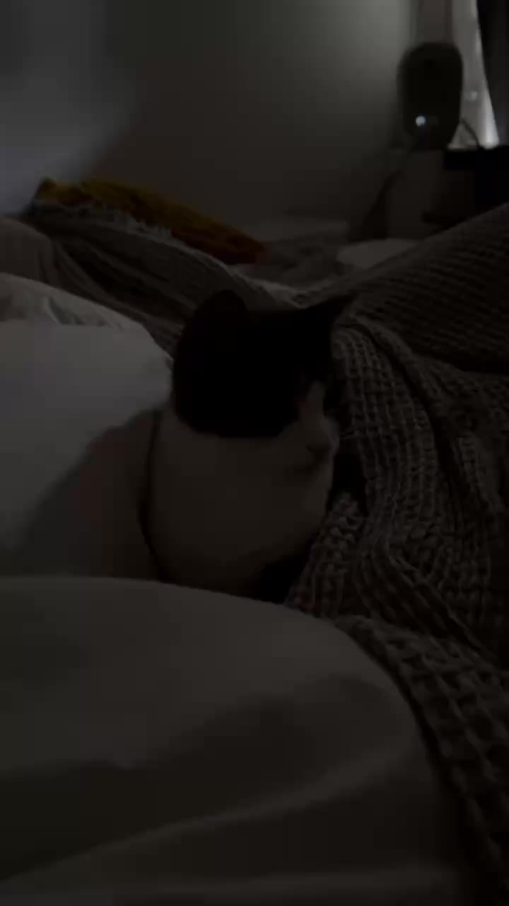 @MimitheNapcat
