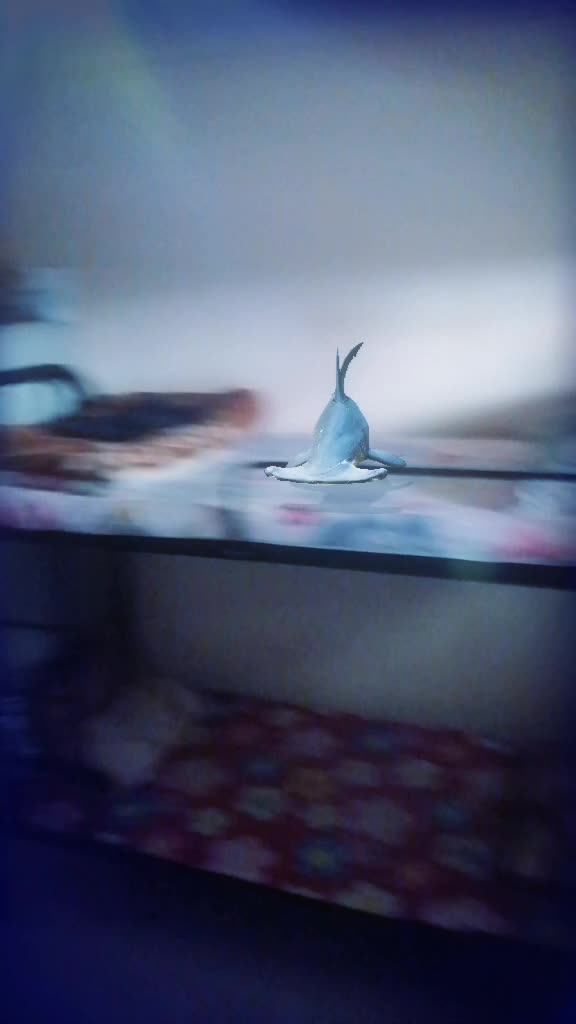 @vikasRaj