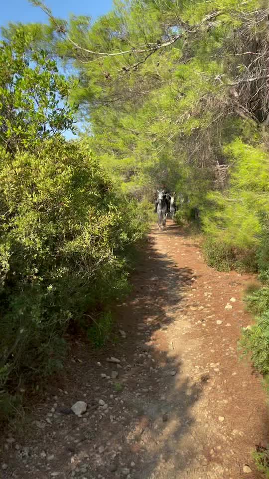 @Asil g&uuml;lbahar