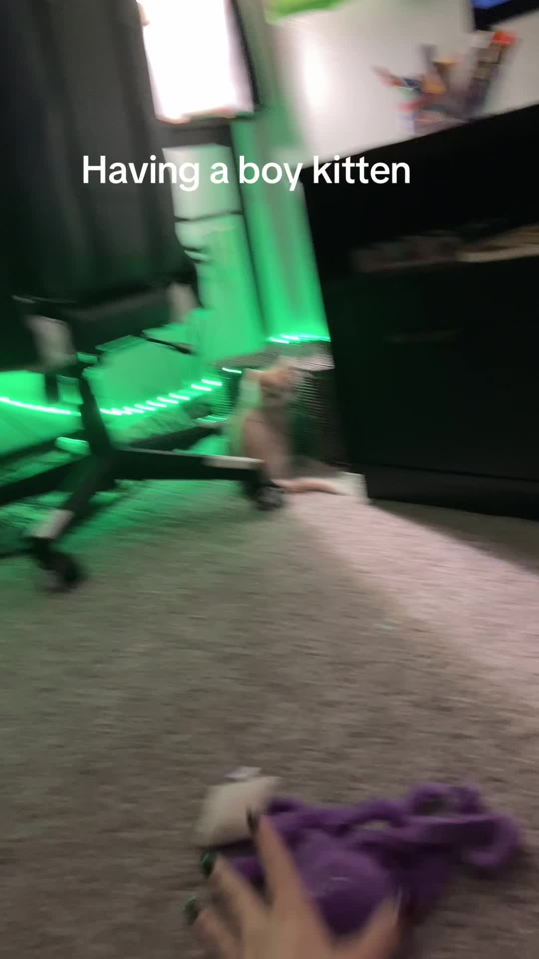 @xo_echo91_ox