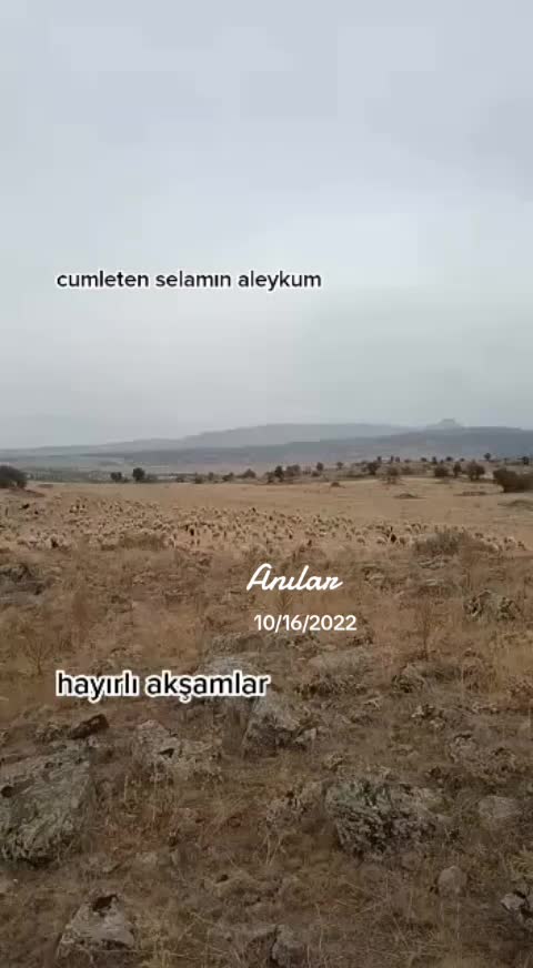 @KAYIP ŞEHİR68