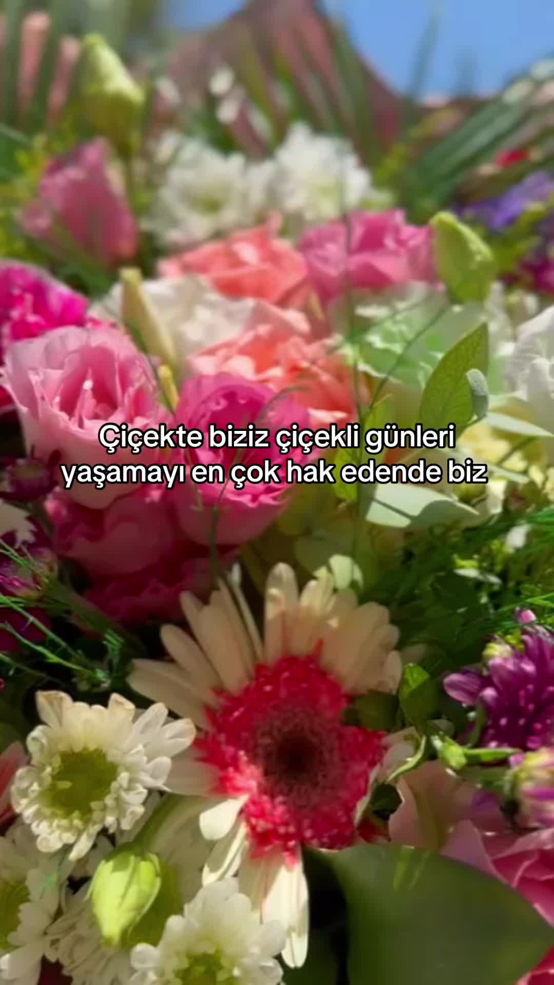 @Ven&uuml;s &Ccedil;i&ccedil;ek