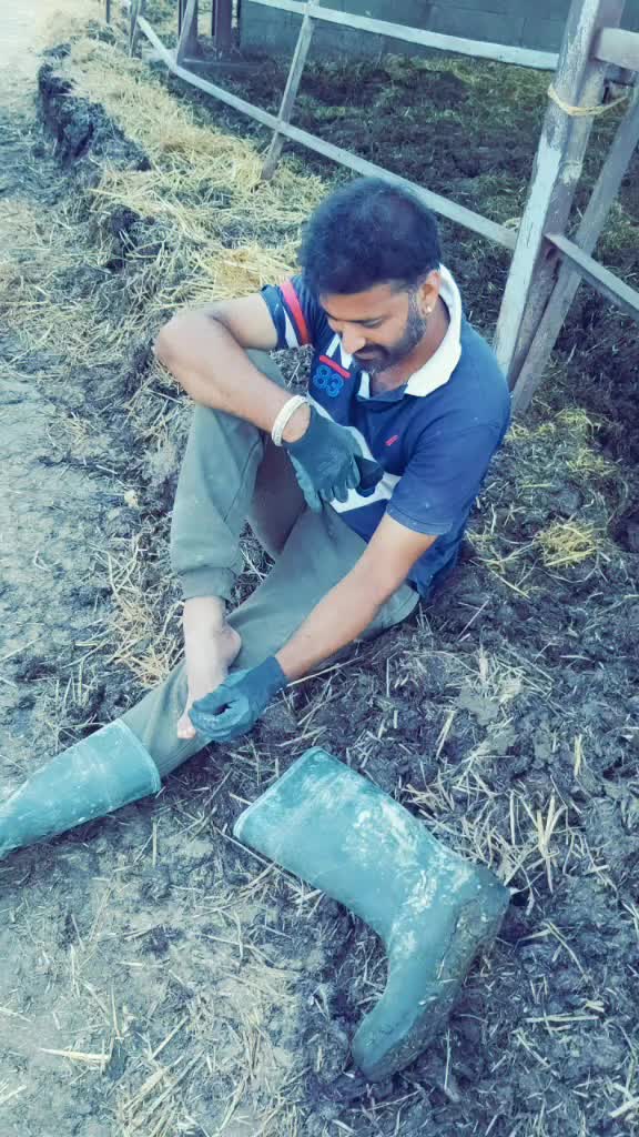 @aman.here