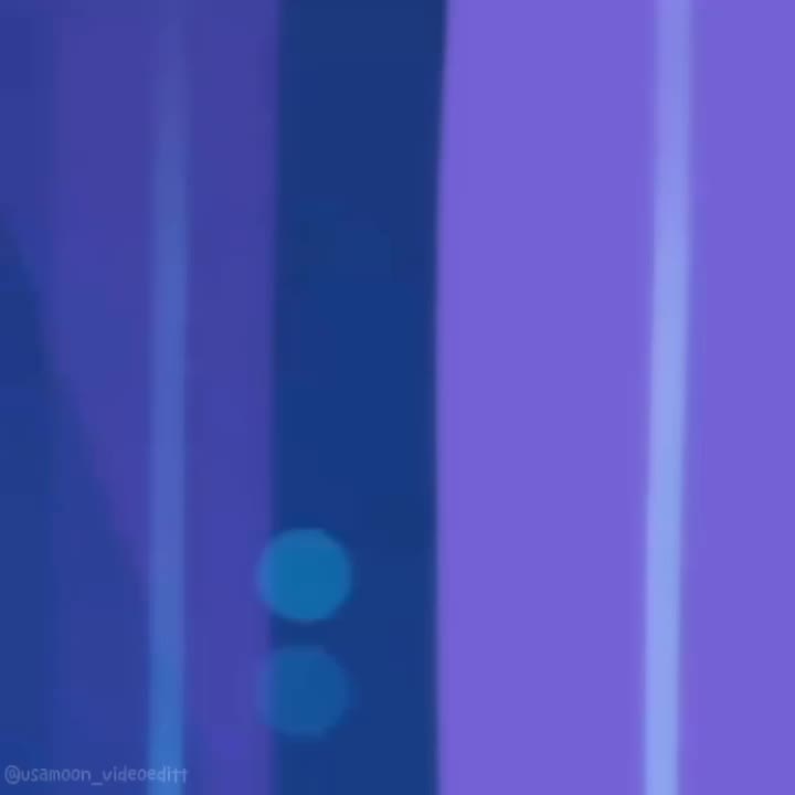 @✨セーラームーン✨