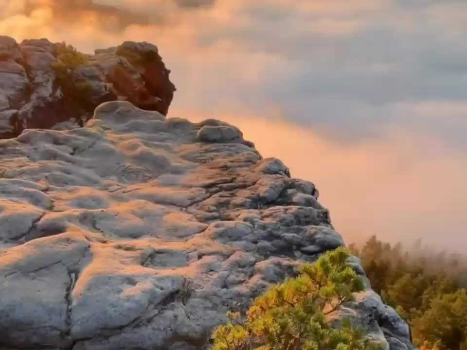 @mampirsejenak🕊️