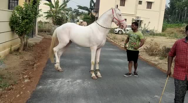 @m.s.Bathusha 3021