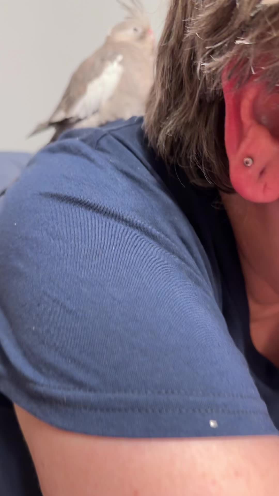 @sbutera89