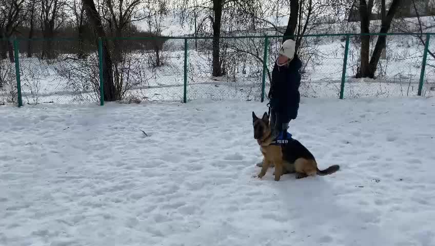 @Irinagerasimova